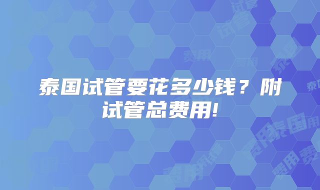 泰国试管要花多少钱？附试管总费用!