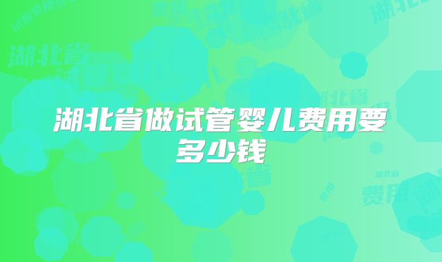 湖北省做试管婴儿费用要多少钱