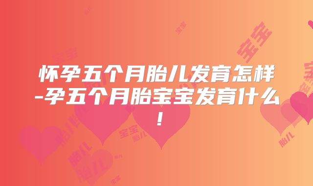 怀孕五个月胎儿发育怎样-孕五个月胎宝宝发育什么!