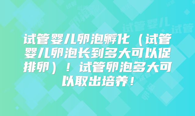 试管婴儿卵泡孵化（试管婴儿卵泡长到多大可以促排卵）！试管卵泡多大可以取出培养！