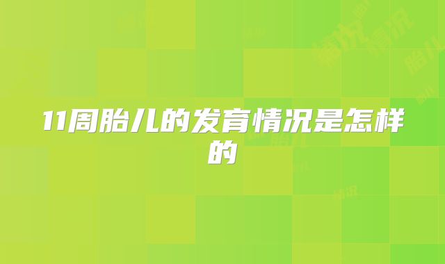11周胎儿的发育情况是怎样的