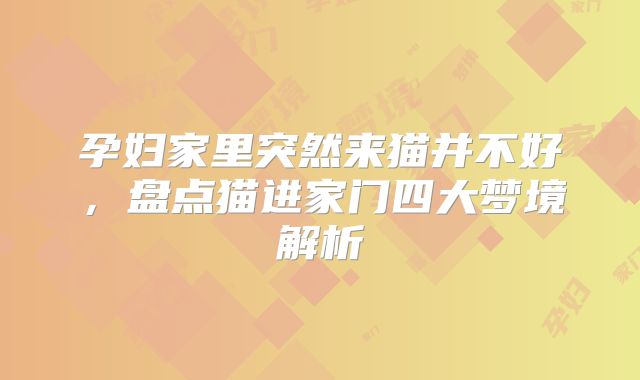 孕妇家里突然来猫并不好，盘点猫进家门四大梦境解析