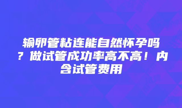 输卵管粘连能自然怀孕吗？做试管成功率高不高！内含试管费用