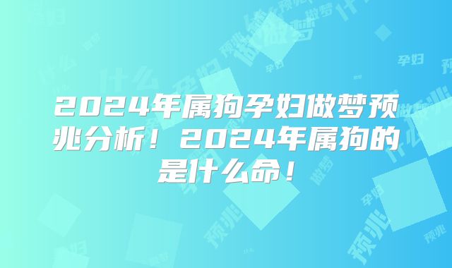 2024年属狗孕妇做梦预兆分析!2024年属狗的是什么命!