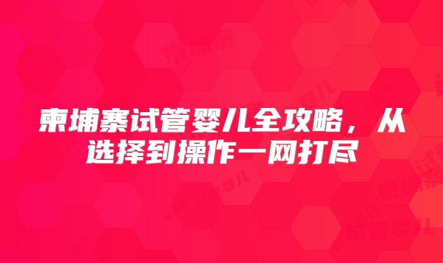 柬埔寨试管婴儿全攻略,从选择到操作一网打尽
