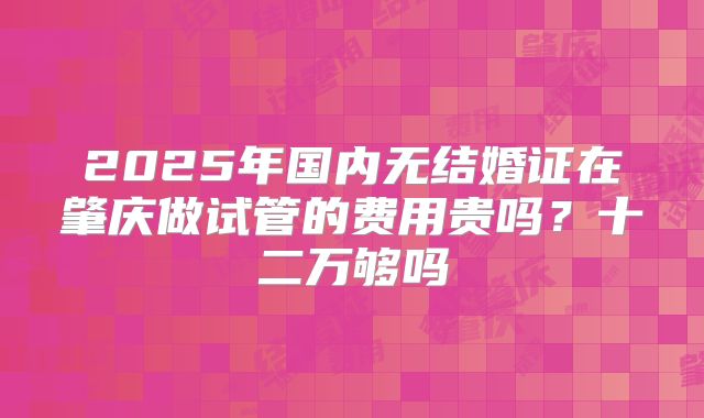 2025年国内无结婚证在肇庆做试管的费用贵吗?十二万够吗