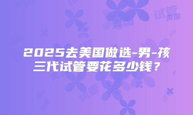 2025去美国做选-男-孩三代试管要花多少钱?