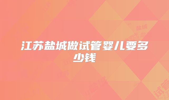 江苏盐城做试管婴儿要多少钱