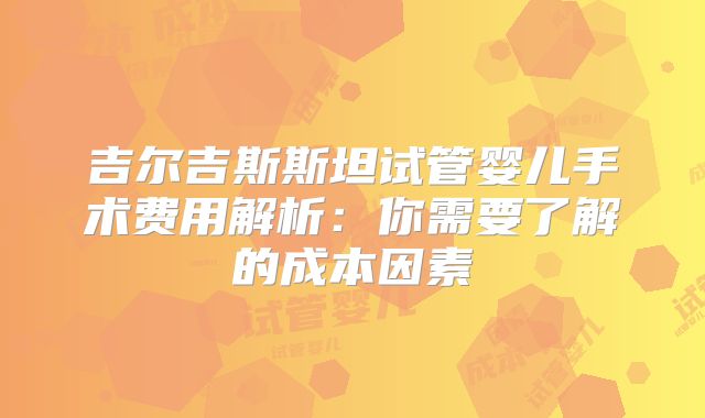 吉尔吉斯斯坦试管婴儿手术费用解析：你需要了解的成本因素