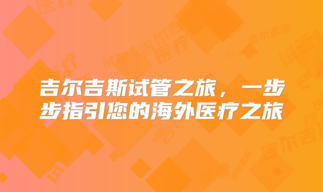 吉尔吉斯试管之旅,一步步指引您的海外医疗之旅