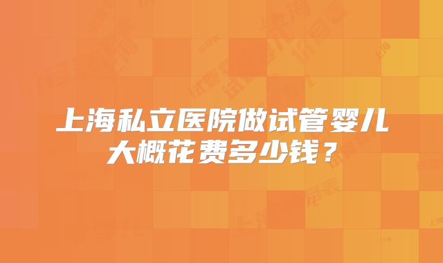 上海私立医院做试管婴儿大概花费多少钱？