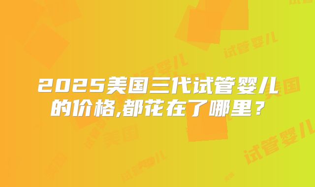 2025美国三代试管婴儿的价格,都花在了哪里?