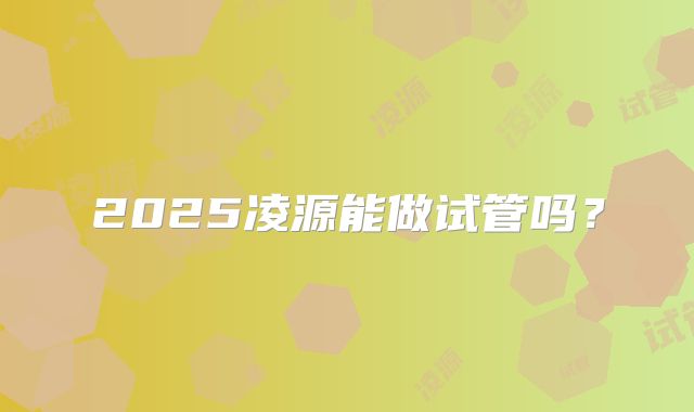 2025凌源能做试管吗？