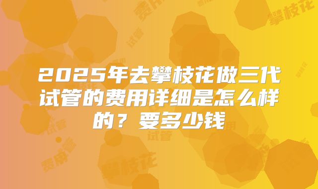 2025年去攀枝花做三代试管的费用详细是怎么样的?要多少钱