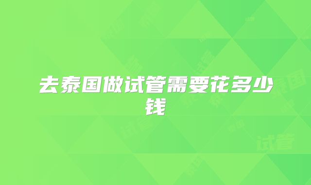 去泰国做试管需要花多少钱