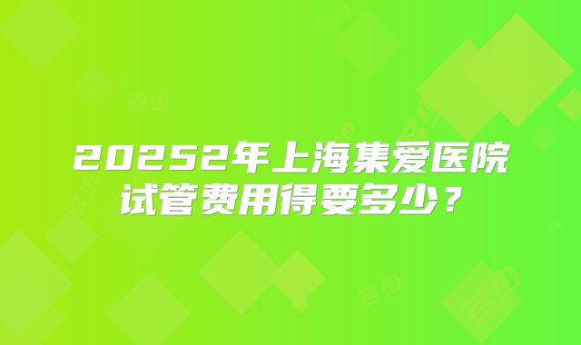 20252年上海集爱医院试管费用得要多少？