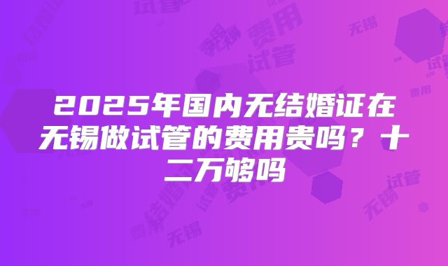 2025年国内无结婚证在无锡做试管的费用贵吗?十二万够吗