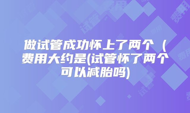 做试管成功怀上了两个(费用大约是(试管怀了两个可以减胎吗)