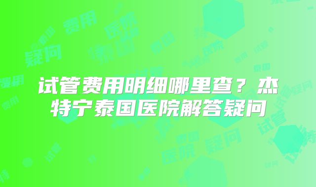 试管费用明细哪里查？杰特宁泰国医院解答疑问