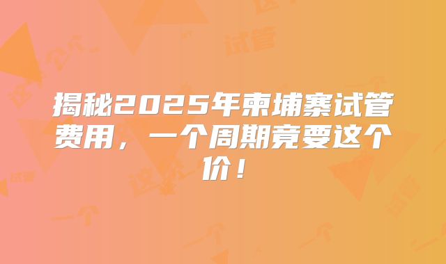 揭秘2025年柬埔寨试管费用，一个周期竟要这个价！