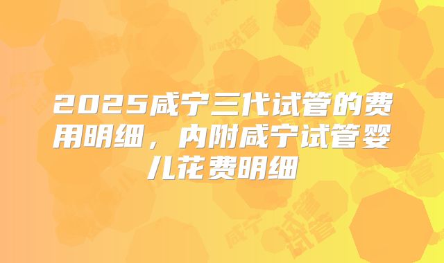 2025咸宁三代试管的费用明细，内附咸宁试管婴儿花费明细