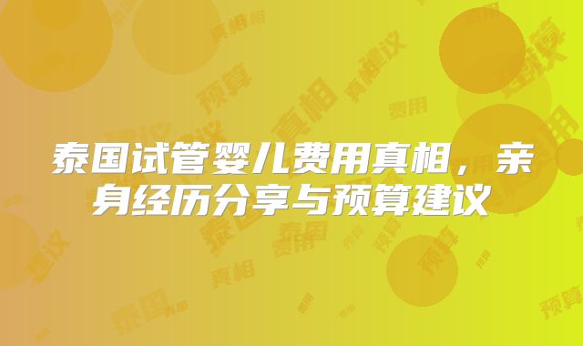 泰国试管婴儿费用真相，亲身经历分享与预算建议