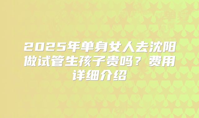 2025年单身女人去沈阳做试管生孩子贵吗?费用详细介绍