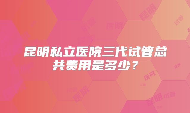 昆明私立医院三代试管总共费用是多少？