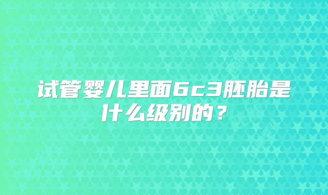 试管婴儿里面6c3胚胎是什么级别的？