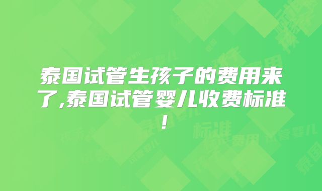 泰国试管生孩子的费用来了,泰国试管婴儿收费标准！
