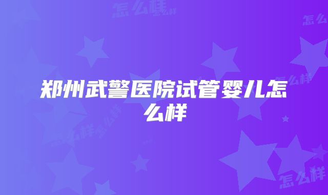 郑州武警医院试管婴儿怎么样