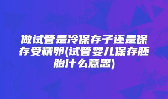做试管是冷保存子还是保存受精卵(试管婴儿保存胚胎什么意思)
