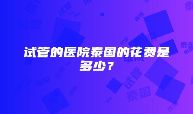 试管的医院泰国的花费是多少?