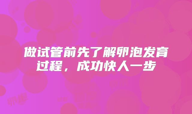 做试管前先了解卵泡发育过程,成功快人一步