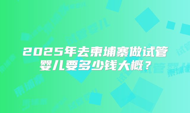 2025年去柬埔寨做试管婴儿要多少钱大概?