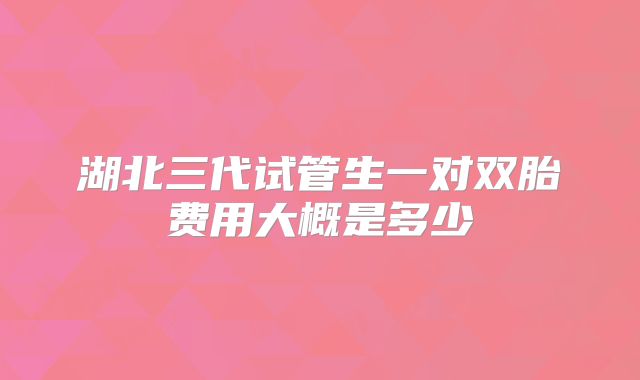 湖北三代试管生一对双胎费用大概是多少