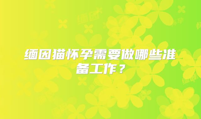 缅因猫怀孕需要做哪些准备工作？