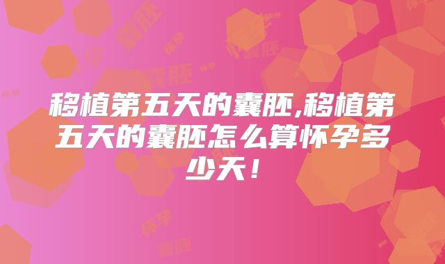 移植第五天的囊胚,移植第五天的囊胚怎么算怀孕多少天！