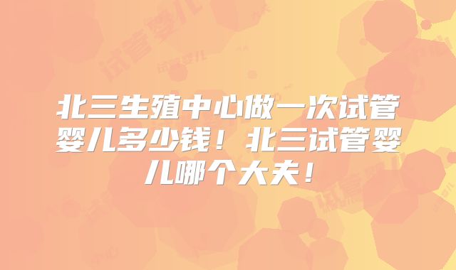 北三生殖中心做一次试管婴儿多少钱！北三试管婴儿哪个大夫！