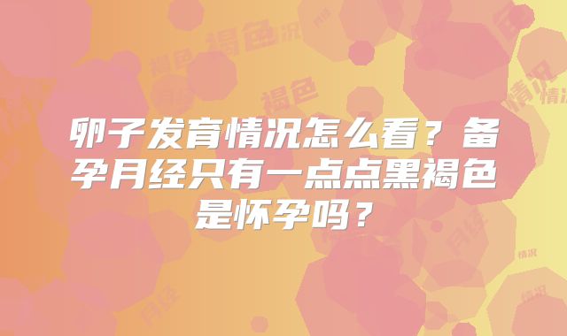 卵子发育情况怎么看?备孕月经只有一点点黑褐色是怀孕吗?