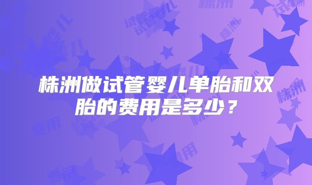 株洲做试管婴儿单胎和双胎的费用是多少？