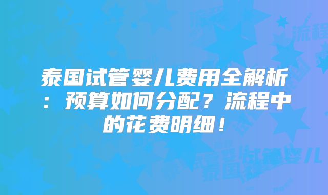 泰国试管婴儿费用全解析：预算如何分配？流程中的花费明细！