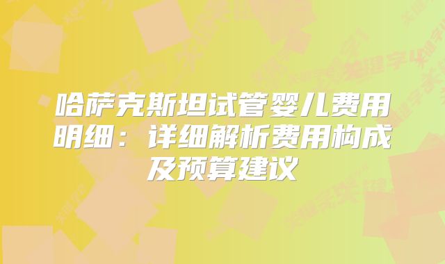 哈萨克斯坦试管婴儿费用明细：详细解析费用构成及预算建议