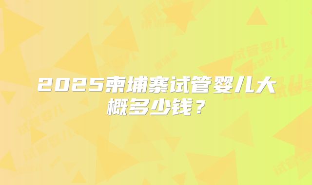 2025柬埔寨试管婴儿大概多少钱?