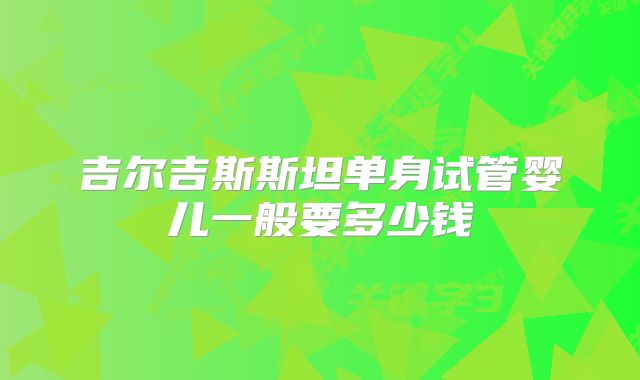 吉尔吉斯斯坦单身试管婴儿一般要多少钱
