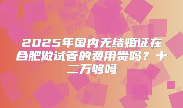 2025年国内无结婚证在合肥做试管的费用贵吗？十二万够吗