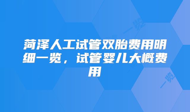 菏泽人工试管双胎费用明细一览,试管婴儿大概费用