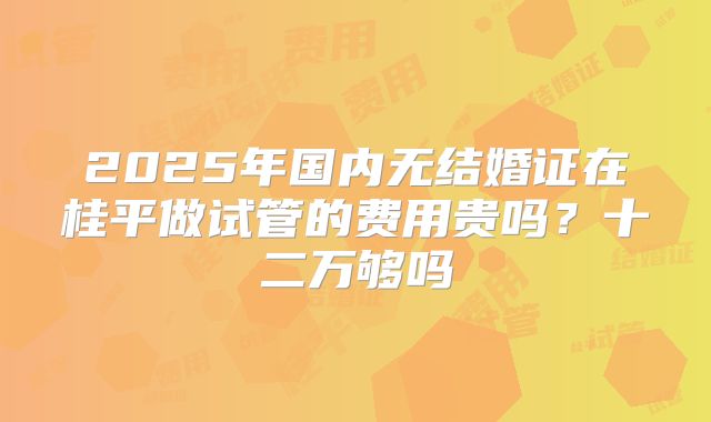 2025年国内无结婚证在桂平做试管的费用贵吗？十二万够吗