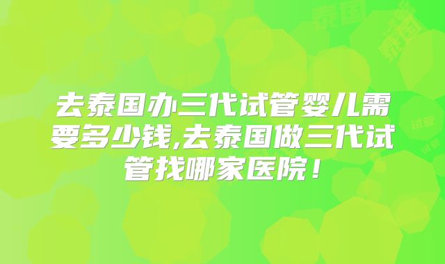 去泰国办三代试管婴儿需要多少钱,去泰国做三代试管找哪家医院!