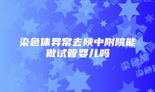 染色体异常去陕中附院能做试管婴儿吗